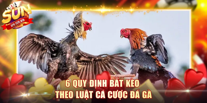 Luật Cá Cược Đá Gà Sunwin Dễ Hiểu Và Đơn Giản Nhất 4 6 quy định bắt kèo theo luật cá cược đá gà