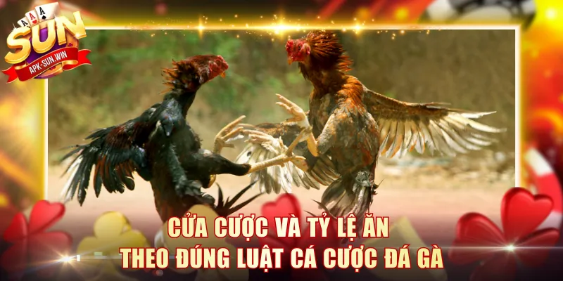 Luật Cá Cược Đá Gà Sunwin Dễ Hiểu Và Đơn Giản Nhất 3 Cửa cược và tỷ lệ ăn theo đúng luật cá cược đá gà