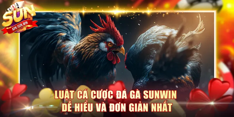 Luật Cá Cược Đá Gà Sunwin Dễ Hiểu Và Đơn Giản Nhất 1 Luật Cá Cược Đá Gà